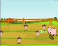 Pig race online ugrálós játék